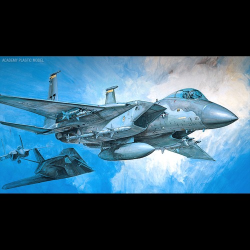 아카데미과학 1/48 미공군 F-15C/D 이글 전투기