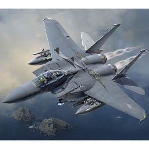 아카데미과학 1/48 F-15K 한국공군 슬램이글 신념불사조 12362