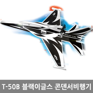 아카데미과학 T-50B 블랙이글스 콘덴서비행기